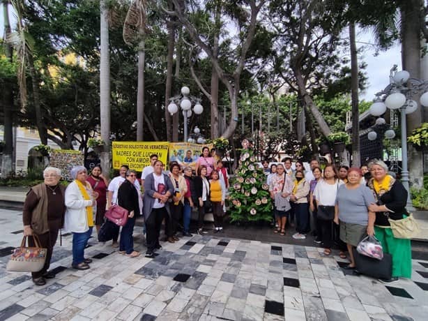 Con “árbol del dolor”, colectivo Solecito recuerdan a sus desaparecidos en Veracruz