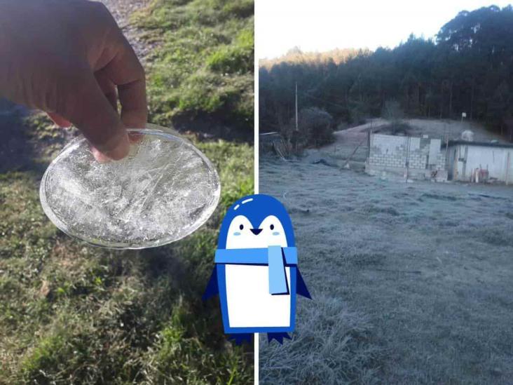¡Siguen las heladas en Veracruz! Hasta -10 grados en esta comunidad de Perote