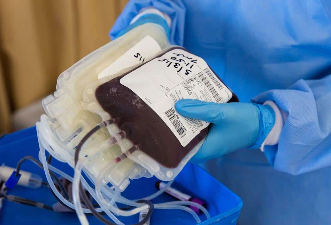 Alertan sobre falsos donadores de sangre en Veracruz 