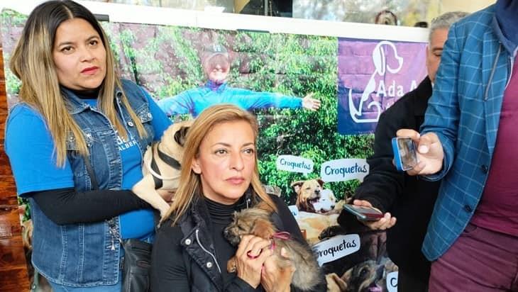 Albergue Ada Azul realizará campaña de adopción canina: Este año el abandono de animales fue demasiado