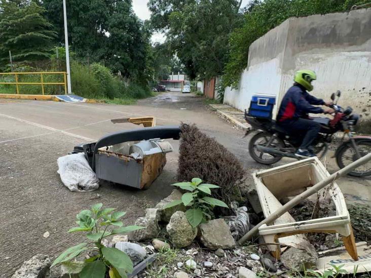 Pino de Navidad cumplió un año cubriendo alcantarilla sin tapa en Poza Rica