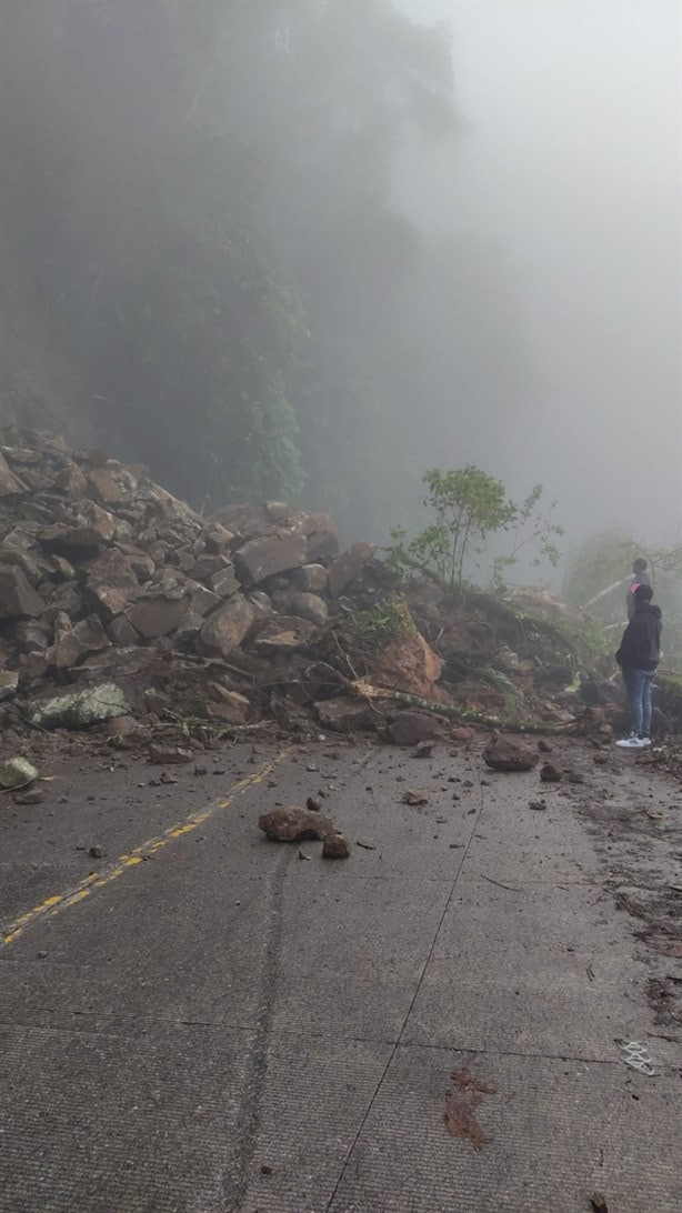 Se derrumba parte de un cerro a orilla de la carretera Misantla-Banderilla