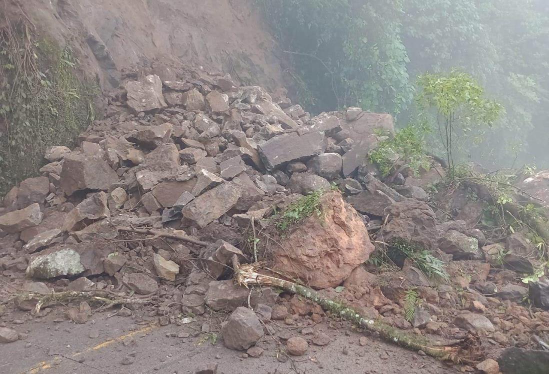 Se derrumba parte de un cerro a orilla de la carretera Misantla-Banderilla