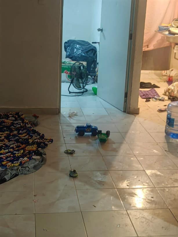 Niños trataron de cocinar a un gato en Medellín; llevaban días encerrados