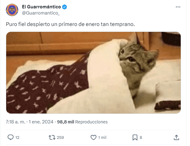 Estos son los mejores MEMES que dejó el inicio de año 2024