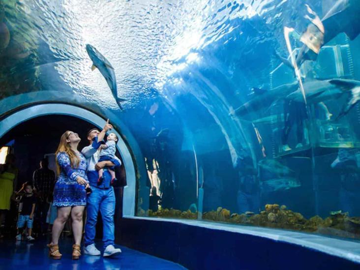 Aquarium de Veracruz dejó ingresos por 125 millones de pesos en 2023
