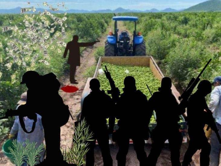Así afecta la inseguridad a los productores en el campo mexicano