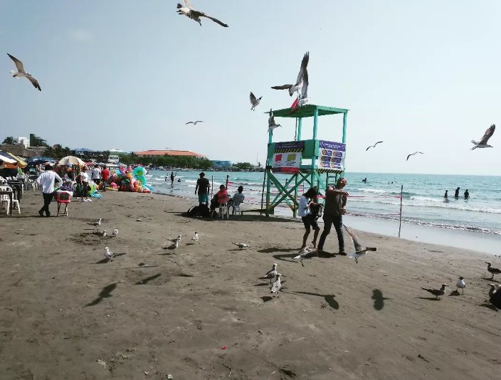 Veracruz registra saldo positivo en afluencia turística  por vacaciones de fin de año