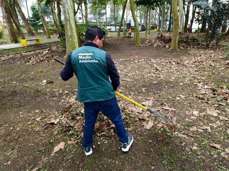 En Xalapa, realizan primera jornada comunitaria del año