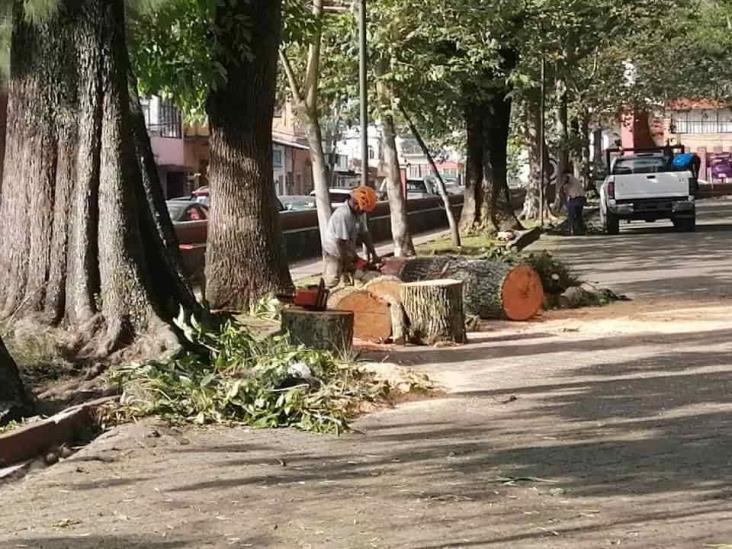 Surada deja pocas afectaciones en Orizaba, confirma Protección Civil