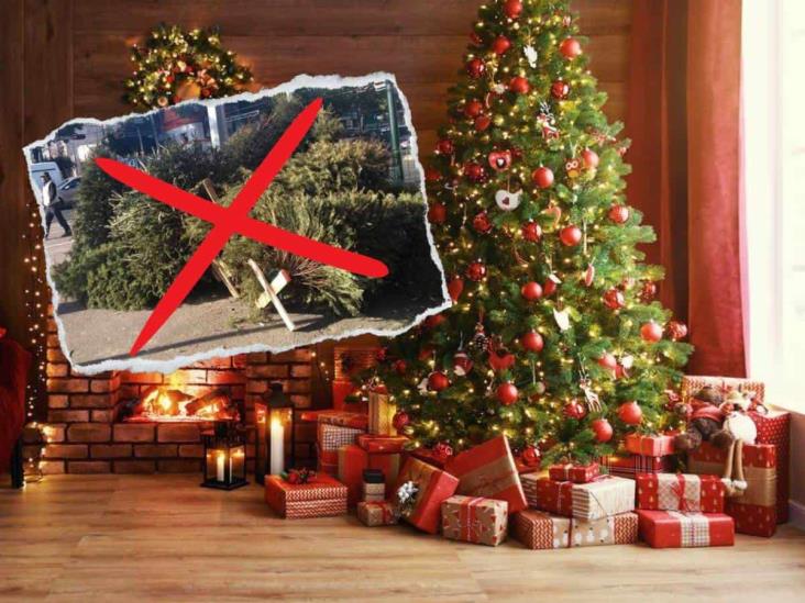 ¡No lo tires! Esto puedes hacer con tu árbol de Navidad después de las fiestas decembrinas