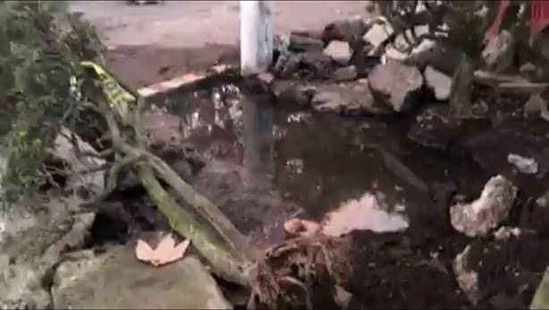 Por fuga, se desperdician miles de litros de agua en Xalapa, acusan vecinos