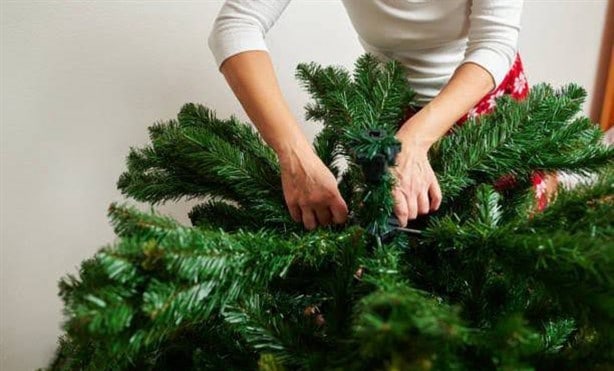 ¡No lo tires! Esto puedes hacer con tu árbol de Navidad después de las fiestas decembrinas
