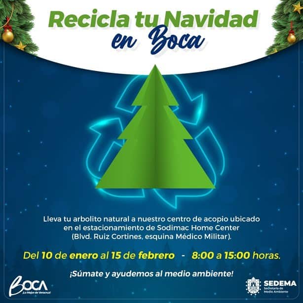 En este lugar de Boca del Río podrás reciclar tu árbol de Navidad