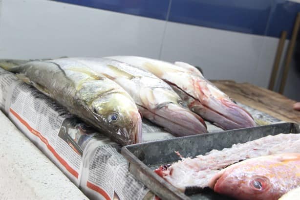 2024 inicia con baja producción pesquera en Veracruz