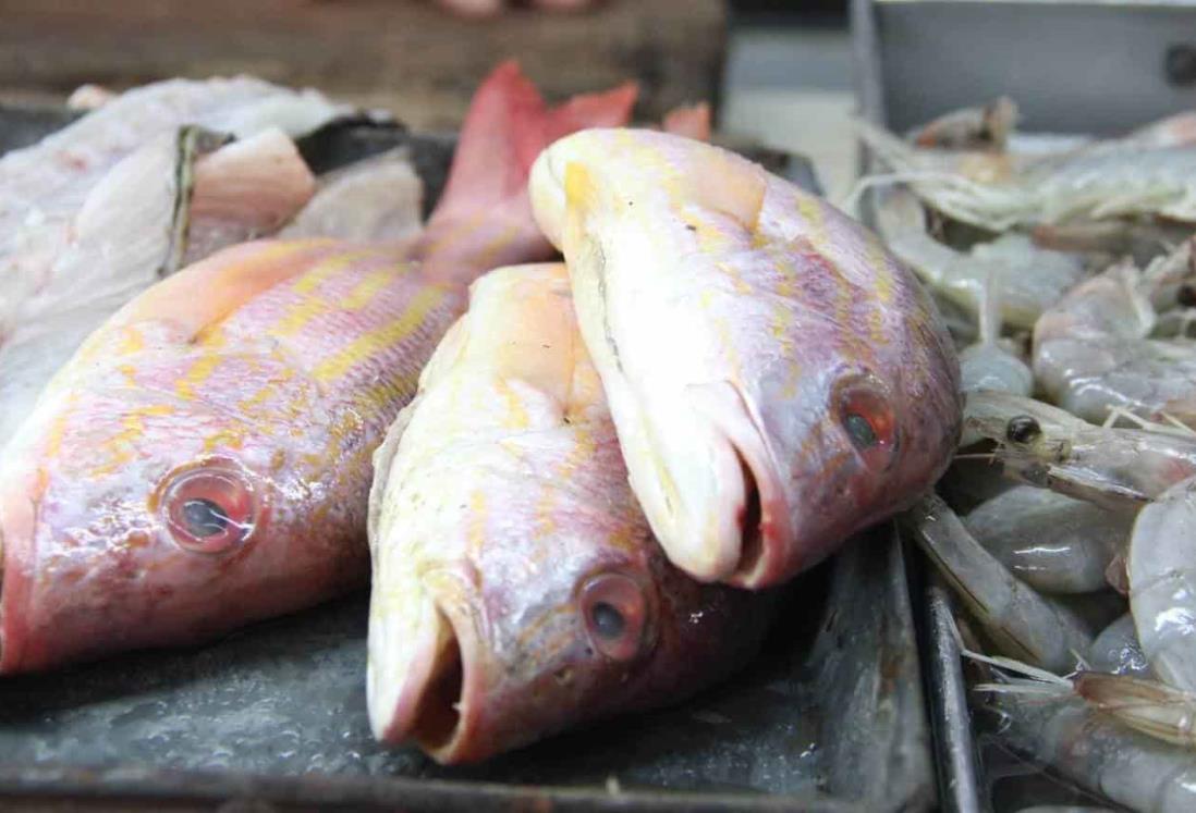 2024 inicia con baja producción pesquera en Veracruz