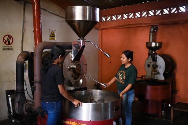 Aromas de Cabañas, el café de Catemaco que conquista con su sabor | VIDEO