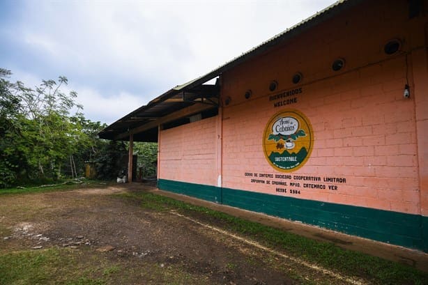 Aromas de Cabañas, el café de Catemaco que conquista con su sabor | VIDEO