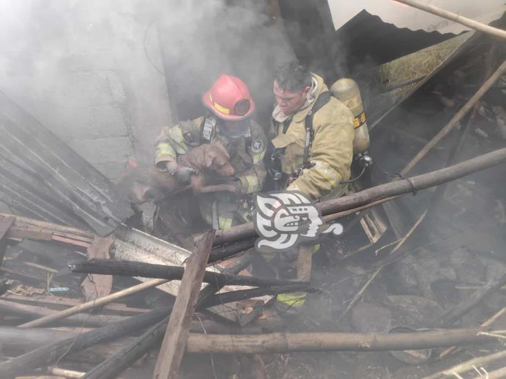 Incendio consume vivienda en Nogales; dos bomberos resultaron intoxicados