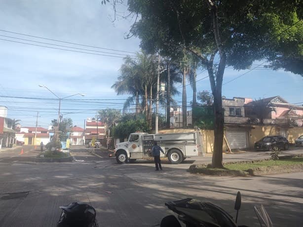 Incendio en avenida Araucarias, en Xalapa; esto sabemos (+ Video)