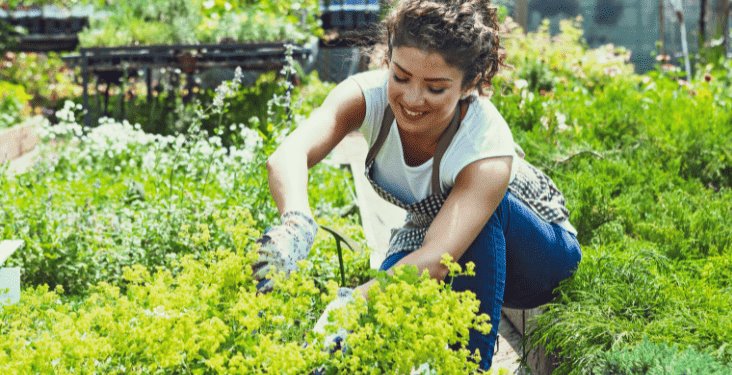 Las plantas y la salud mental