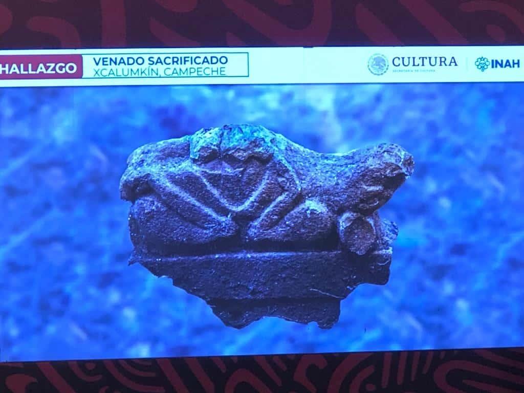 Se mantiene protección de piezas arqueológicas en trabajos del Tren Maya