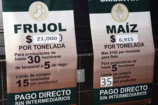 Fijan precios del frijol y maíz en Veracruz; esto costarán ahora