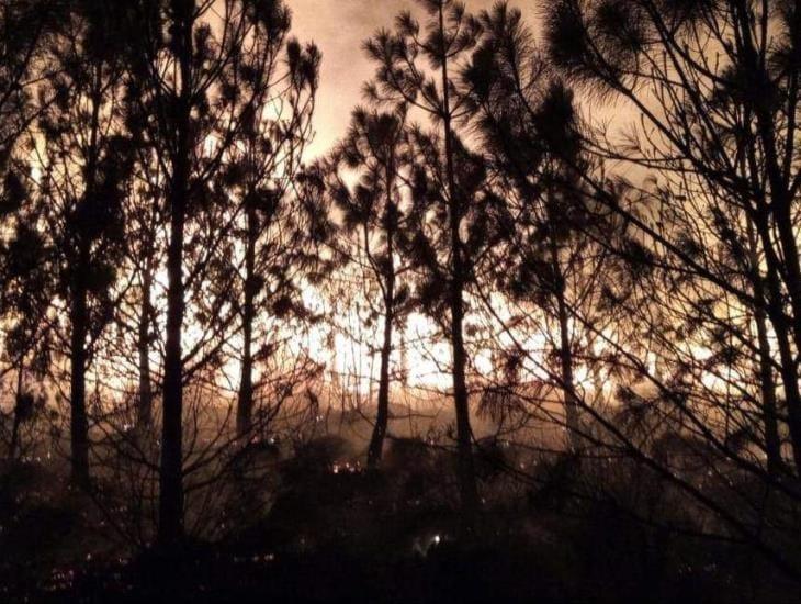 Durante la noche se combatió un incendio forestal en Perote
