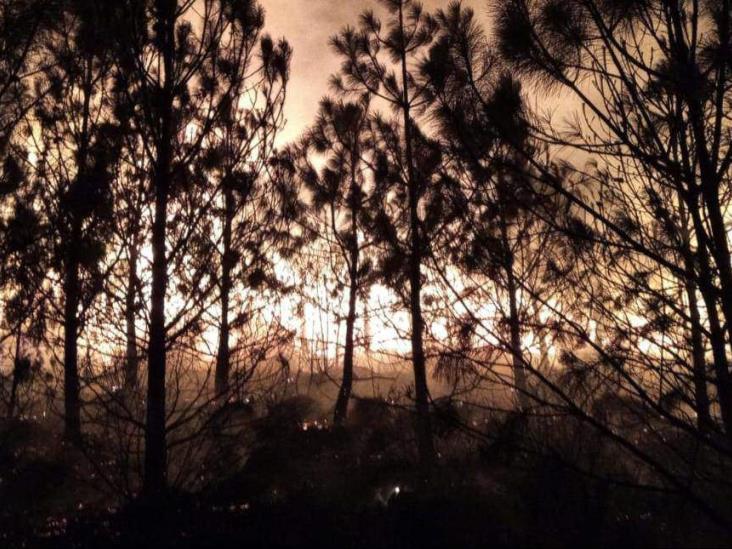 Incendio forestal en Perote, avanza combate