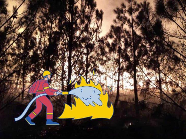 Incendio forestal en Perote afectó 1.8 hectáreas, reporta SPC