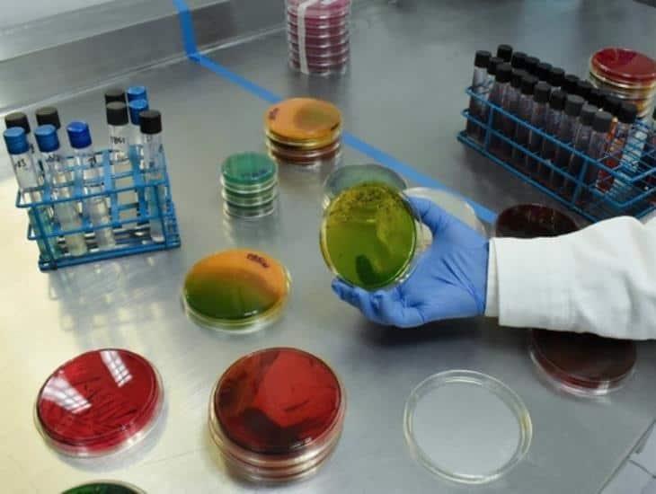 Autoridades federales toman medidas para atacar la resistencia de los antimicrobianos