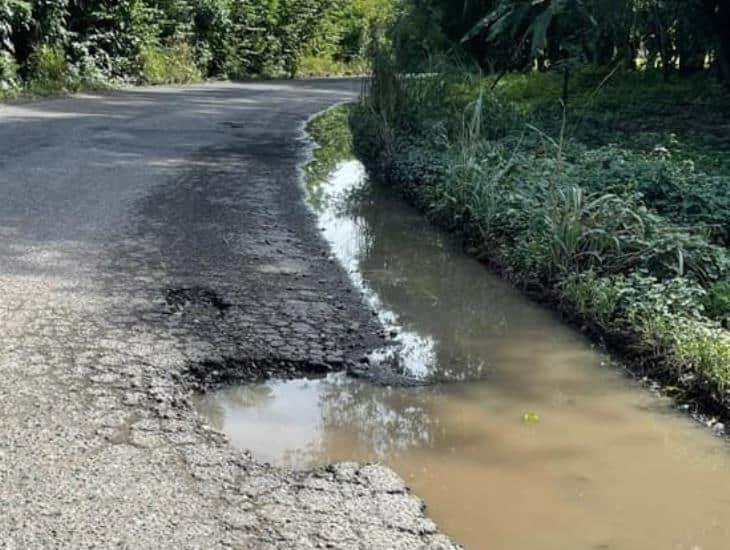 Denuncian deplorable estado de la carretera Misantla-Martínez de la Torre