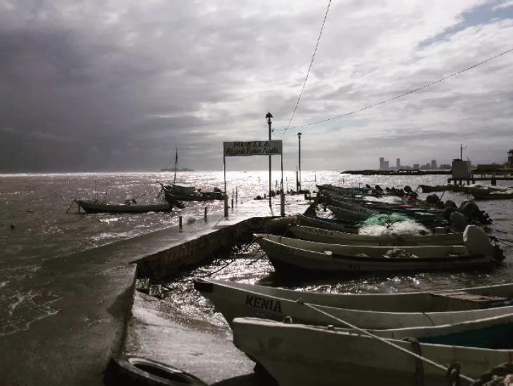 Pescadores esperan que más especies marinas lleguen a la costa de Veracruz en este mes