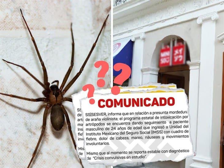 Sí fue una araña violinista: desmiente a SESVER madre de empleado de Miniso