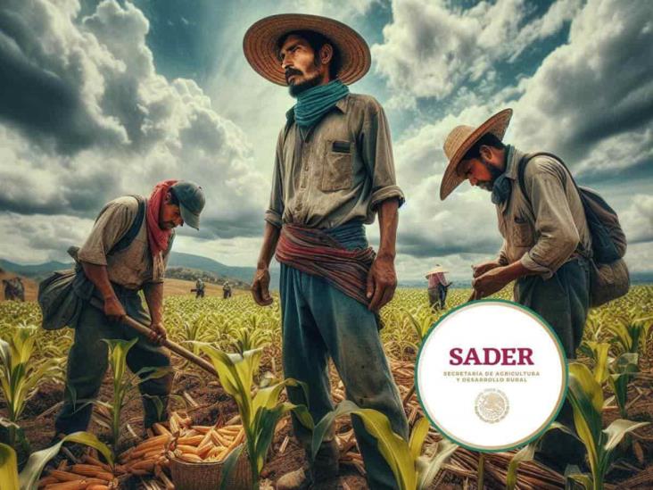 Sader aumenta apoyos a productores de granos y pesca para 2024