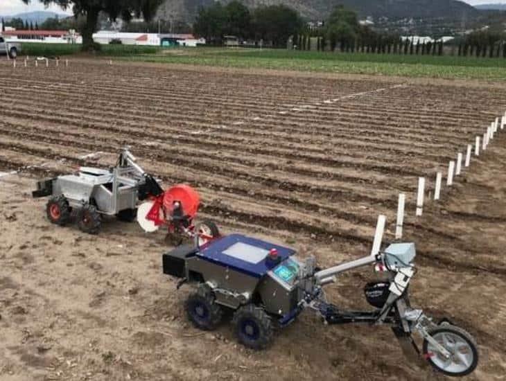 ¿Sader utilizará robots para la siembra de cultivos? Esto se sabe