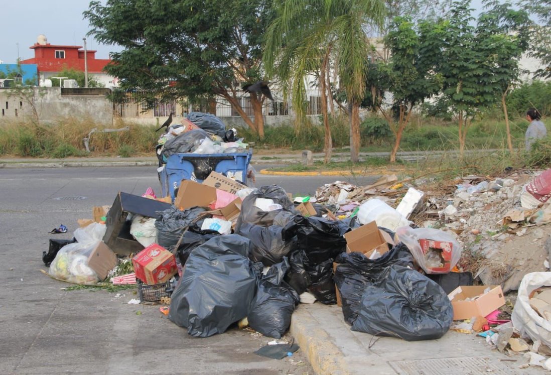 No pasa el camión de la basura en Lagos de Puente Moreno