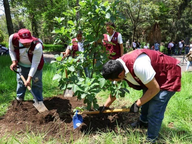 ¿Buscas empleo? La Sedema abre vacantes por 34 mil pesos; estos son los requisitos