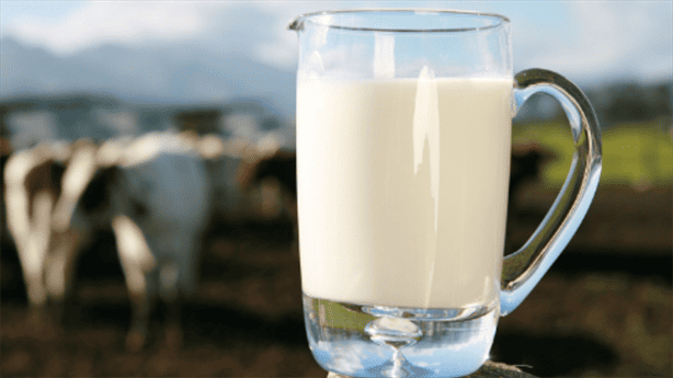 Investigación de Profeco destaca las mejores marcas de leche 2024