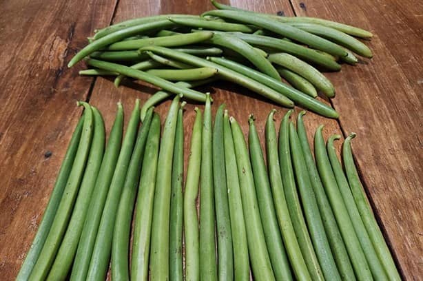 Cultivos de vainilla, a merced del cambio climático