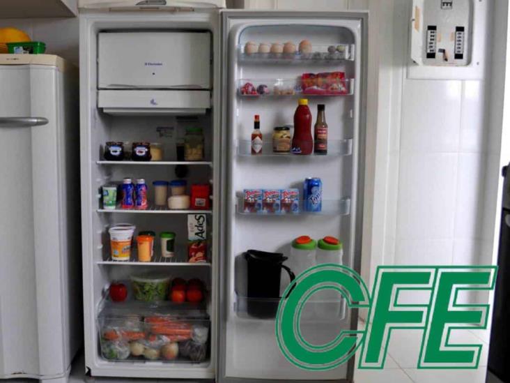 CFE: estos son los requisitos para cambiar tu refrigerador por uno más moderno