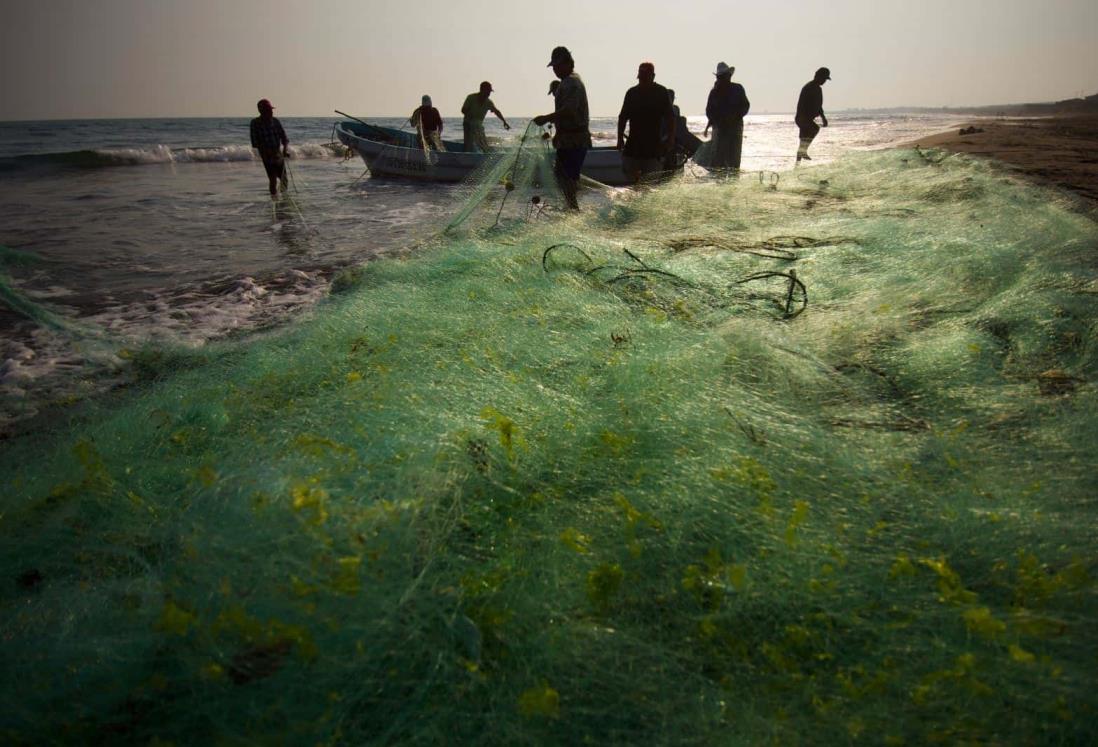 Pescados y mariscos podrían aumentar su precio durante la cuaresma en Veracruz