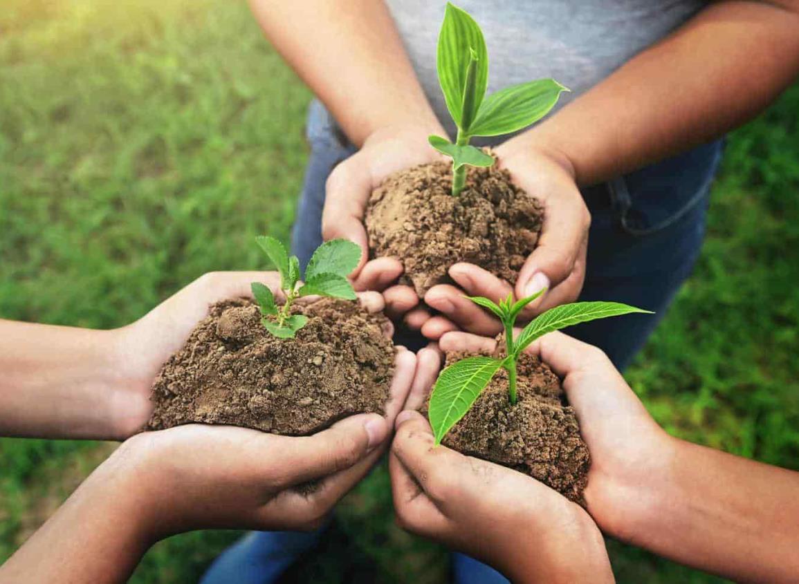 Derecho y deber de la participación ambiental