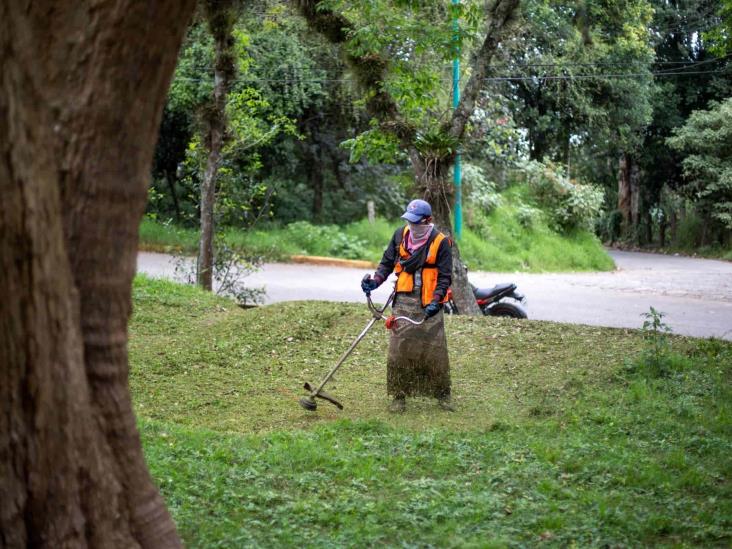 Mejora del ambiente e imagen urbana, prioridad en Xalapa