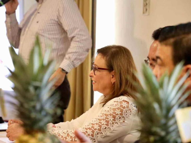 Rocío Nahle sostiene encuentro con productores de piña en Veracruz