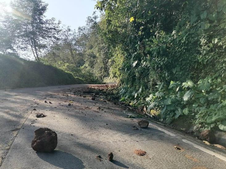 Reportan rocas sobre la carretera Yecuatla-Xalapa