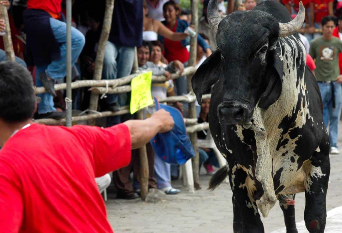 Esta es la multa por maltratar a los toros en las Fiestas de la Candelaria en Tlacotalpan, Veracruz
