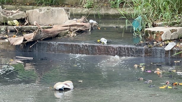 Tras meses de espera, desazolvan colector de aguas negras en colonia de Poza Rica