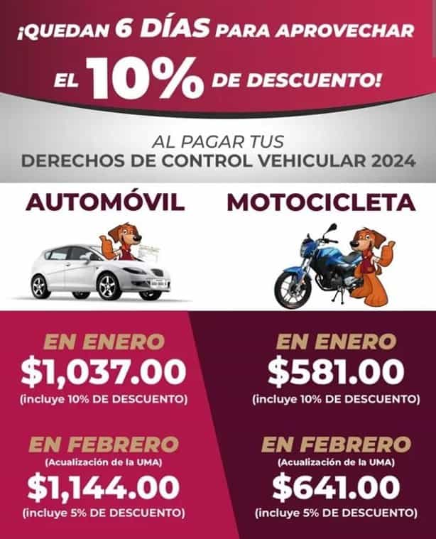 Derecho Vehicular Veracruz: esta cantidad deberás pagar con descuento en febrero
