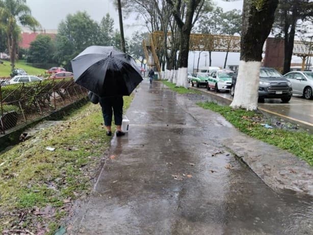 Por temor al Covid 19, incrementa el uso de cubrebocas en Xalapa 